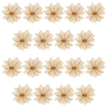 6ab929927f43d4ee9c78725cf9c1ab23