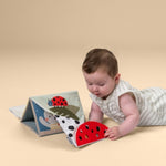 d6220e1ff0bba121f6585eec844cc6e4