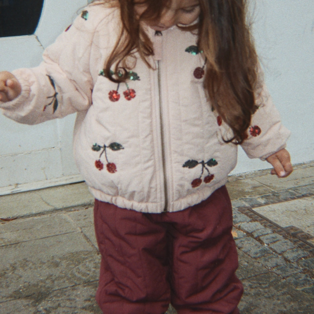 Slide image