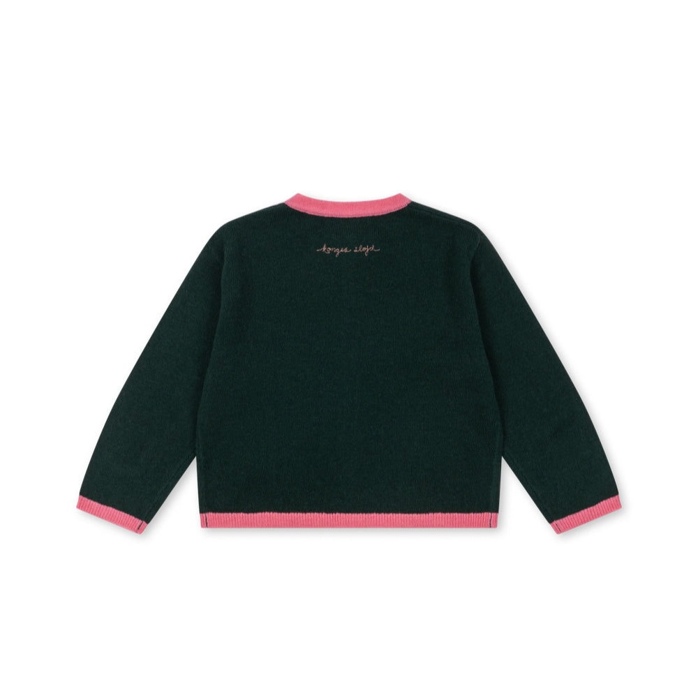 Slide image