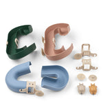 Slide image